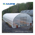 Simple vegetable tunnel greenhouse